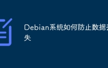 Debian系统如何防止数据丢失