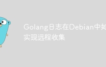 Golang日志在Debian中如何实现远程收集