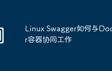 Linux Swagger如何与Docker容器协同工作