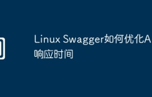 Linux Swagger如何优化API响应时间