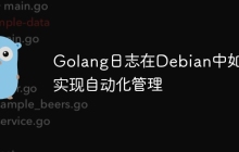 Golang日志在Debian中如何实现自动化管理