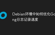 Debian环境中如何优化Golang日志记录速度