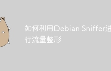 如何利用Debian Sniffer进行流量整形