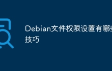 Debian文件权限设置有哪些技巧