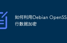 如何利用Debian OpenSSL进行数据加密