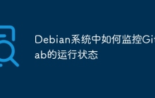 Debian系统中如何监控GitLab的运行状态