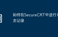 如何在SecureCRT中进行日志记录