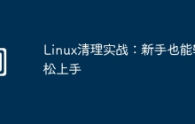 Linux清理实战：新手也能轻松上手