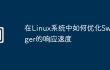在Linux系统中如何优化Swagger的响应速度