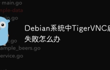 Debian系统中TigerVNC启动失败怎么办