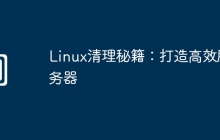 Linux清理秘籍：打造高效服务器