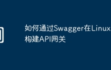 如何通过Swagger在Linux上构建API网关