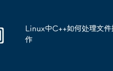 Linux中C++如何处理文件操作