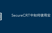SecureCRT中如何使用宏