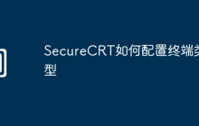SecureCRT如何配置终端类型