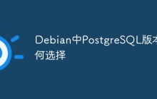 Debian中PostgreSQL版本如何选择