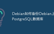 Debian如何备份Debian上的PostgreSQL数据库