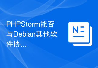 PHPStorm能否与Debian其他软件协同工作