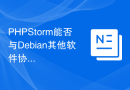 PHPStorm能否与Debian其他软件协同工作