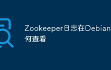 Zookeeper日志在Debian如何查看