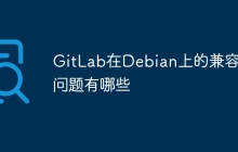 GitLab在Debian上的兼容性问题有哪些