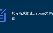 如何高效管理Debian文件系统