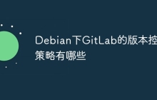 Debian下GitLab的版本控制策略有哪些