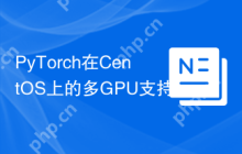 PyTorch在CentOS上的多GPU支持