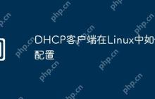 DHCP客户端在Linux中如何配置