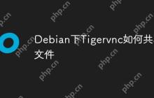 Debian下Tigervnc如何共享文件
