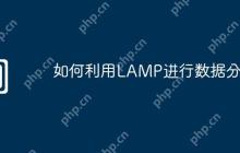 如何利用LAMP进行数据分析