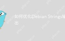 如何优化Debian Strings输出