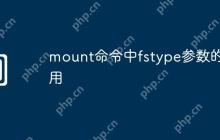 mount命令中fstype参数的作用