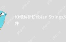 如何解析Debian Strings文件