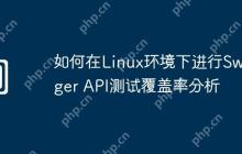 如何在Linux环境下进行Swagger API测试覆盖率分析