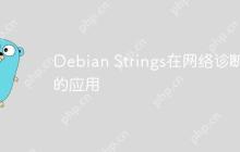 Debian Strings在网络诊断中的应用
