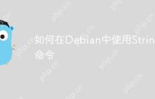如何在Debian中使用Strings命令