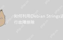 如何利用Debian Strings进行故障排除