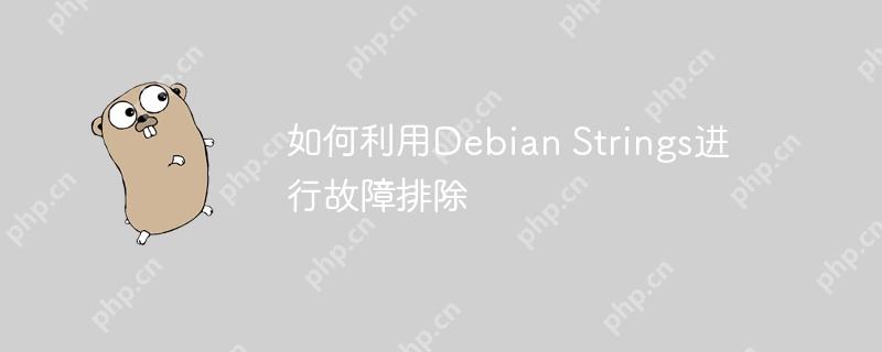 如何利用Debian Strings進(jìn)行故障排除-小浪學(xué)習(xí)網(wǎng)