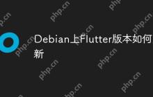 Debian上Flutter版本如何更新