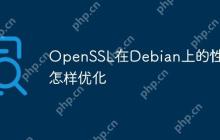 OpenSSL在Debian上的性能怎样优化
