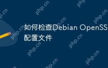 如何检查Debian OpenSSL的配置文件