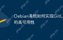 Debian系统如何实现GitLab的高可用性