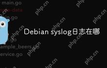 Debian syslog日志在哪