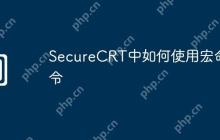 SecureCRT中如何使用宏命令