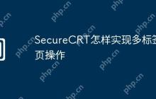 SecureCRT怎样实现多标签页操作