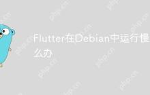 Flutter在Debian中运行慢怎么办