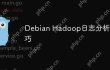 Debian Hadoop日志分析技巧