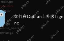 如何在Debian上升级Tigervnc