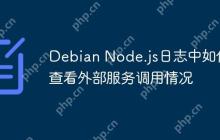 Debian Node.js日志中如何查看外部服务调用情况
